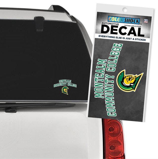 DECAL 1-4C FSN/MSC/CLEAR/    .