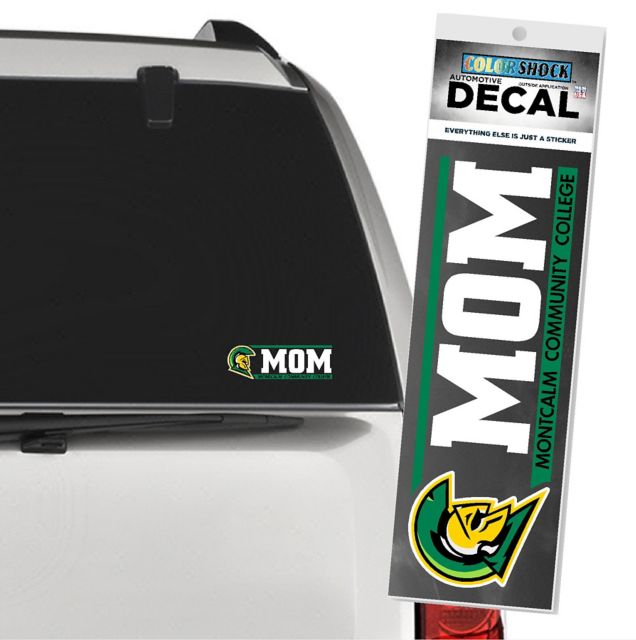 DECAL 1-4C MSCT/FS/CLEAR/    .