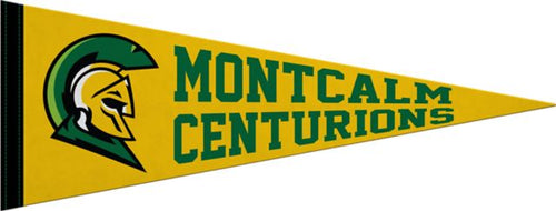 Montcalm Community College 9X24 Full Color Pennant